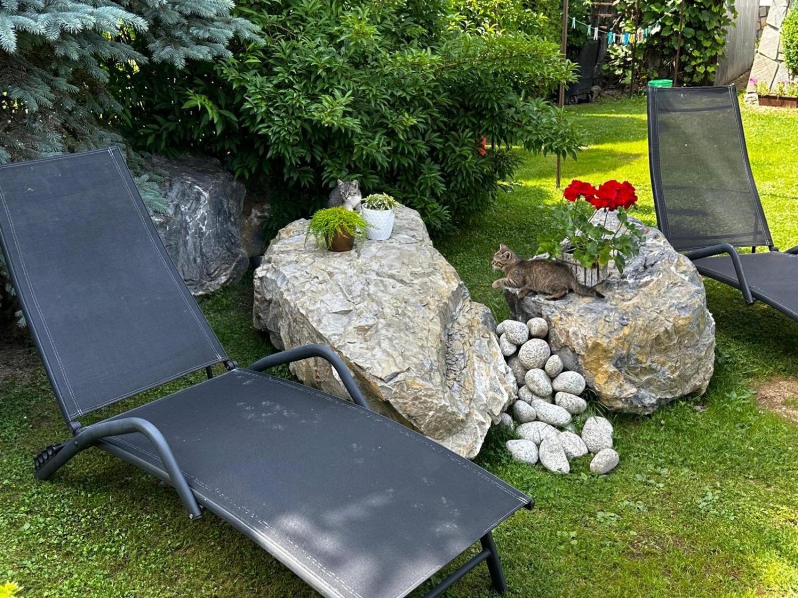Dw Basia Pokoje I Apartament Bialka Tatrzanska Luaran gambar